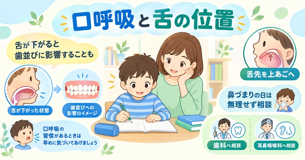 口呼吸で舌の位置が下がると歯並びが悪化する仕組みと改善の練習法
