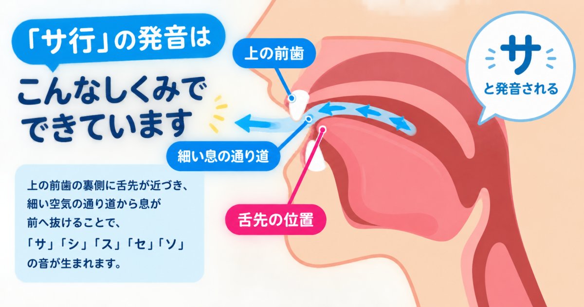 サ行の音はどう作られ、どこで崩れやすいの?